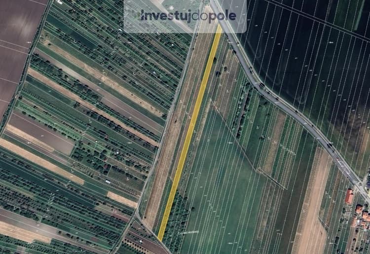 Prodej sadu / vinice 3 827 m², Šakvice