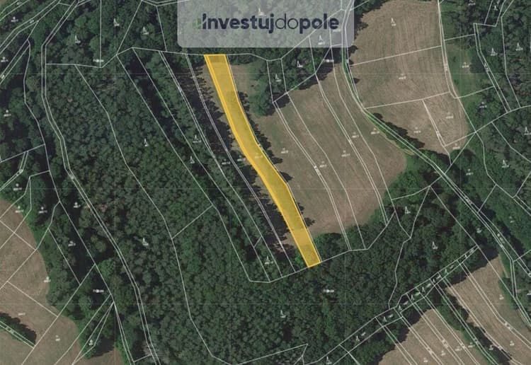 Prodej louky 2 704 m², Vranová Lhota
