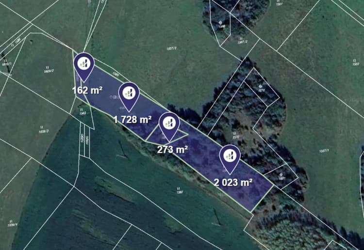 Prodej louky v k.ú. Skuteč