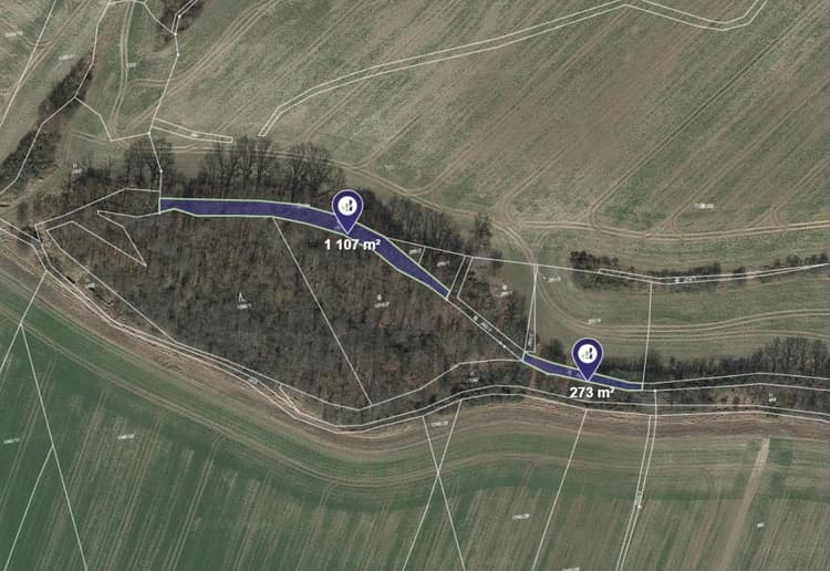 Prodej pozemku v k.ú. Brocno