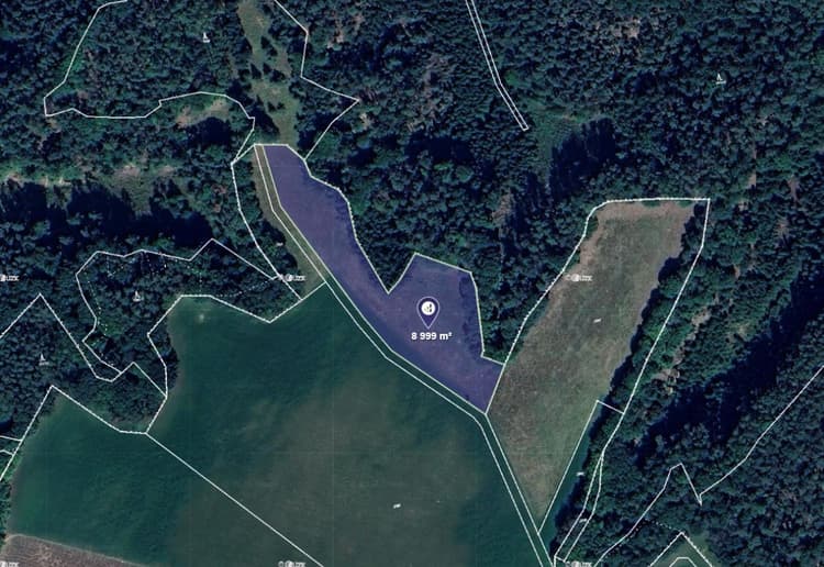 Prodej pole v k.ú. Jestřebice u Kokořína