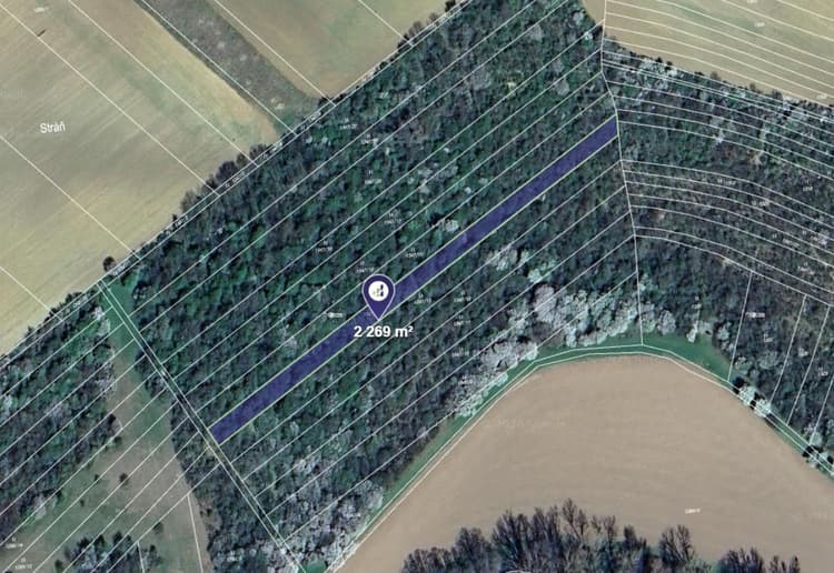 Prodej louky v k.ú. Cetechovice