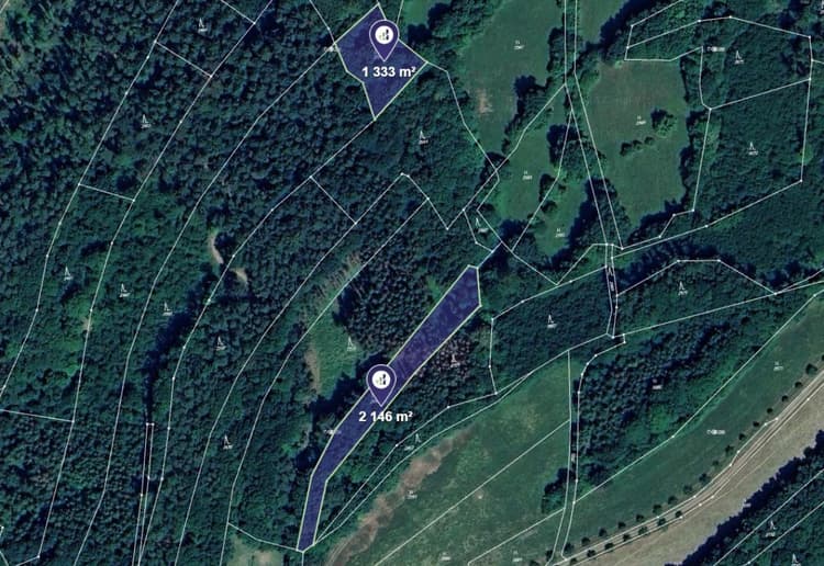 Prodej lesa v k.ú. Lutonina