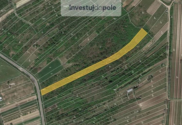 Prodej podílu 2/3 louky 3 570 m², Němčičky