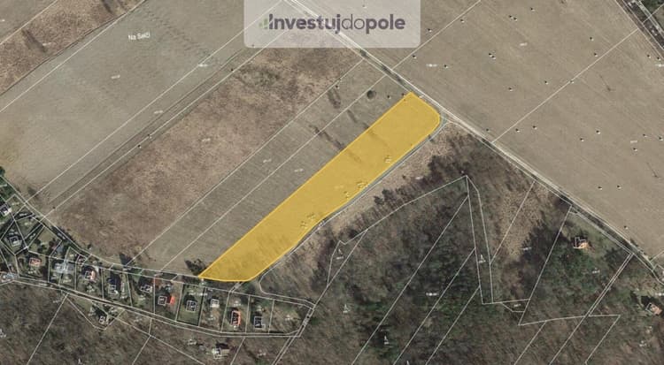Prodej pole 7 869 m², Sýkořice