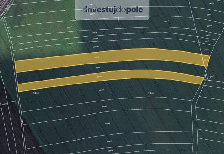 Prodej podílu 1/6 pole 3 181 m², Sadská