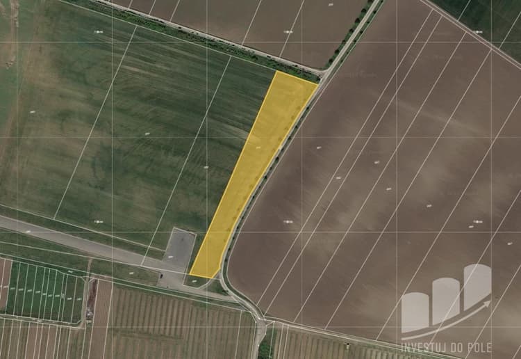 Prodej pole 7 040 m², Popice