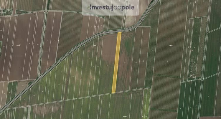 Prodej pole 4 997 m², Strachotín