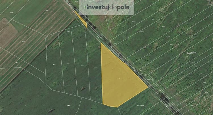 Prodej pole 11 770 m², Štítov