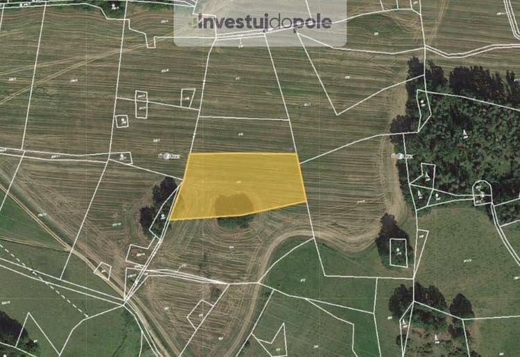 Prodej pole 5 320 m², Chanovice - Dobrotice
