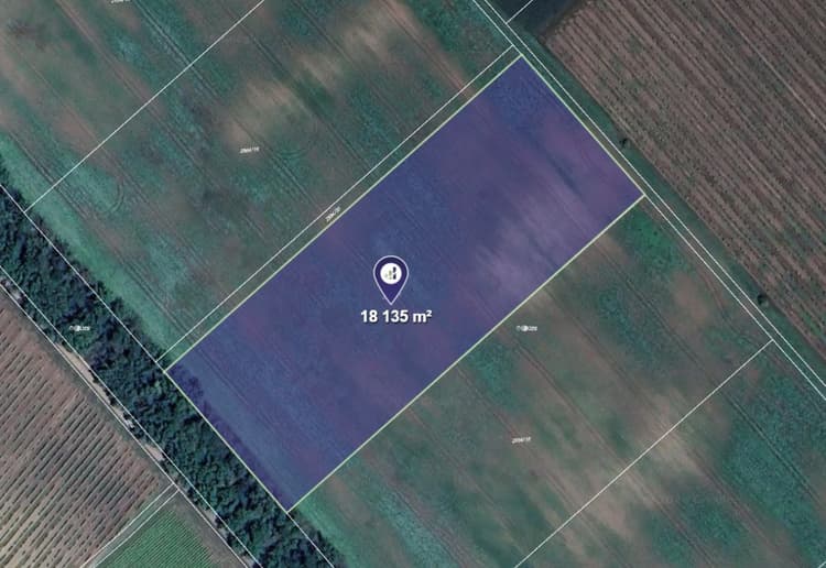 Prodej pole v k.ú. Lednice na Moravě