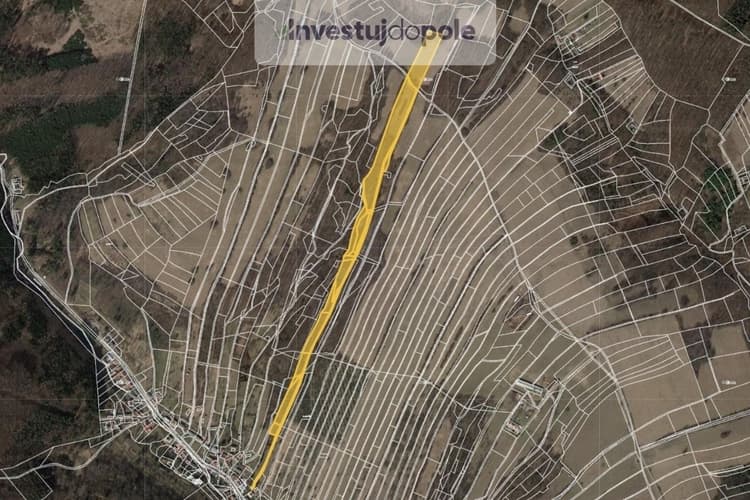 Prodej podílu 1/3 louky 11 496 m², Jankovice