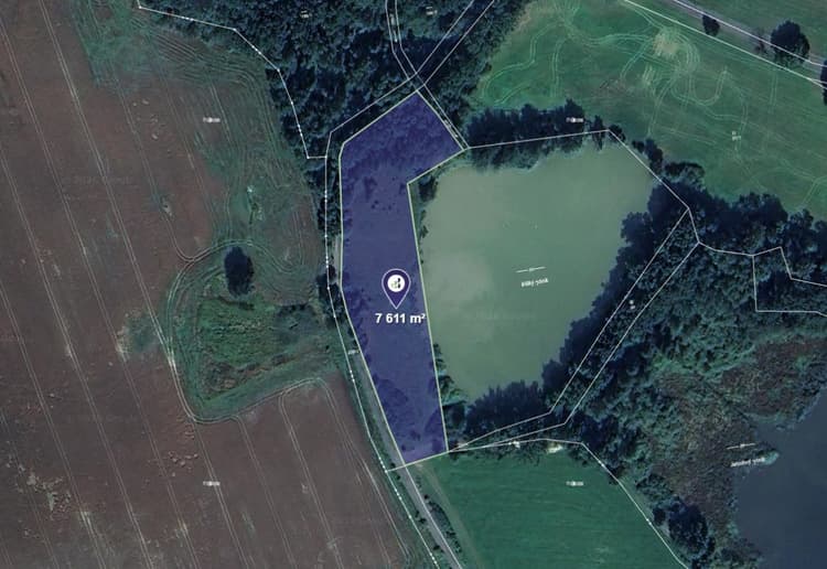 Prodej louky v k.ú. Jedličná