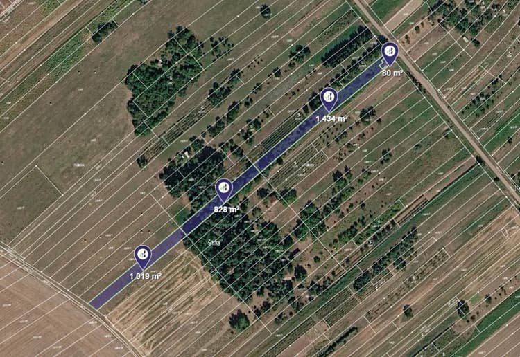 Prodej pole v k.ú. Mistřín