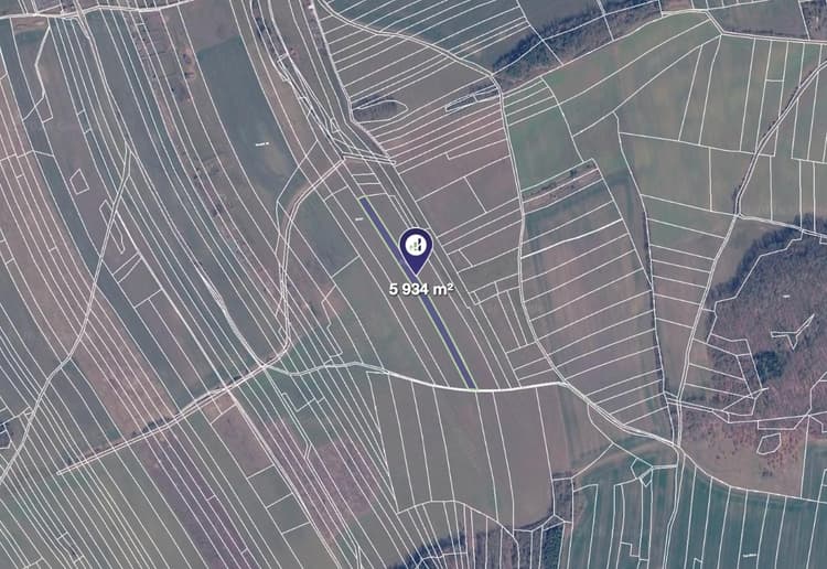 Prodej pole v k.ú. Chyňava