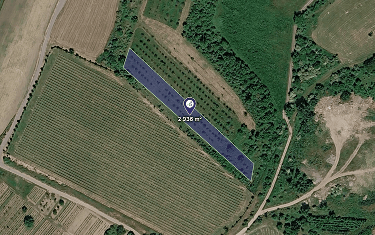 Prodej sadu v k.ú. Popice