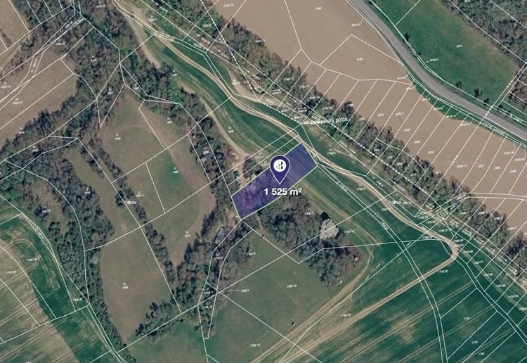 Prodej pole v k.ú. Traplice